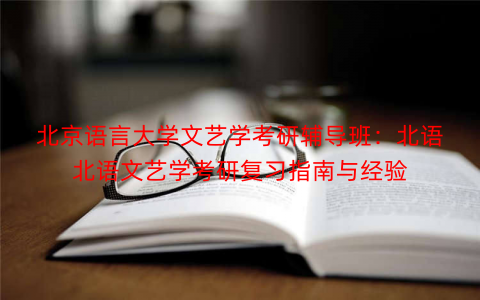 北京语言大学文艺学考研辅导班：北语北语文艺学考研复习指南与经验
